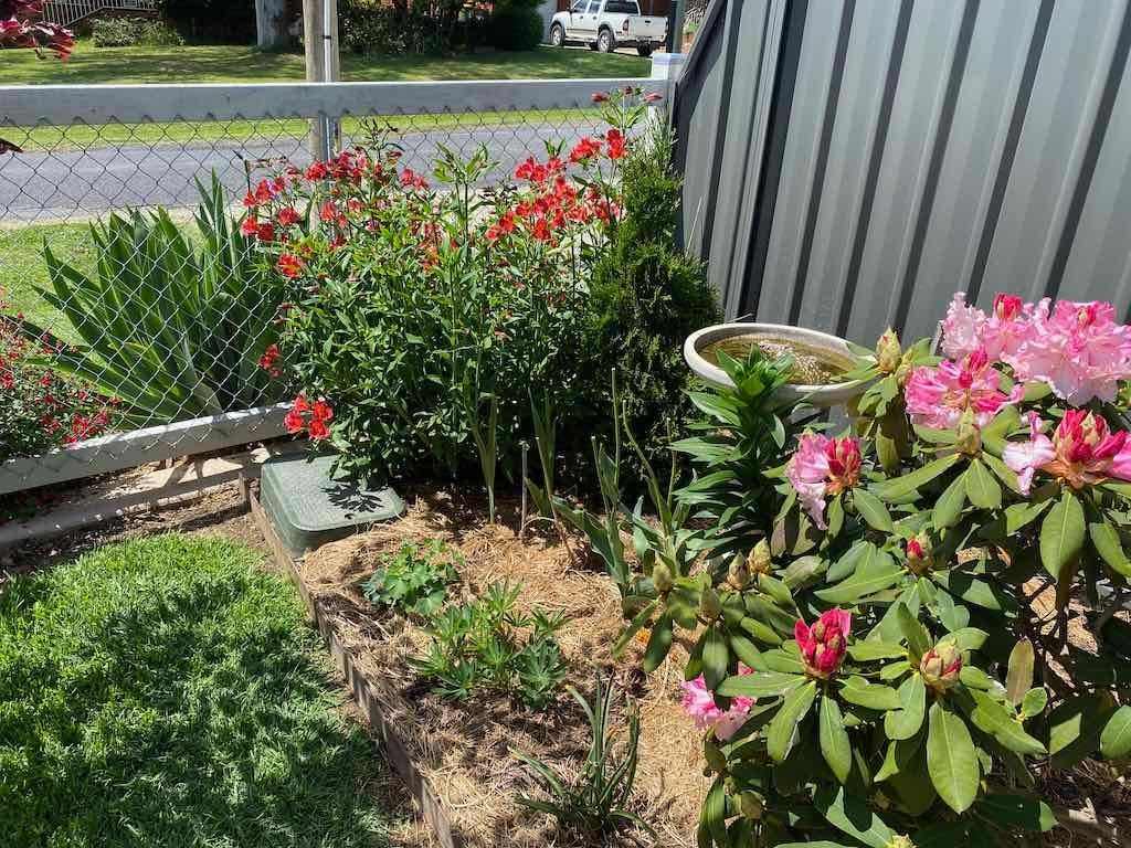 Milthorpe Garden Ramble Image -69142f2591f01