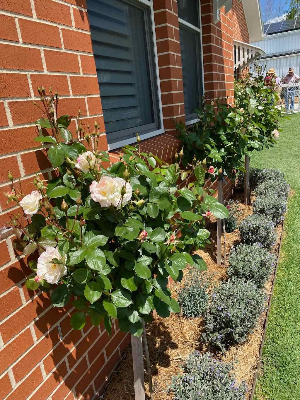 Milthorpe Garden Ramble Image -69142f274fac8