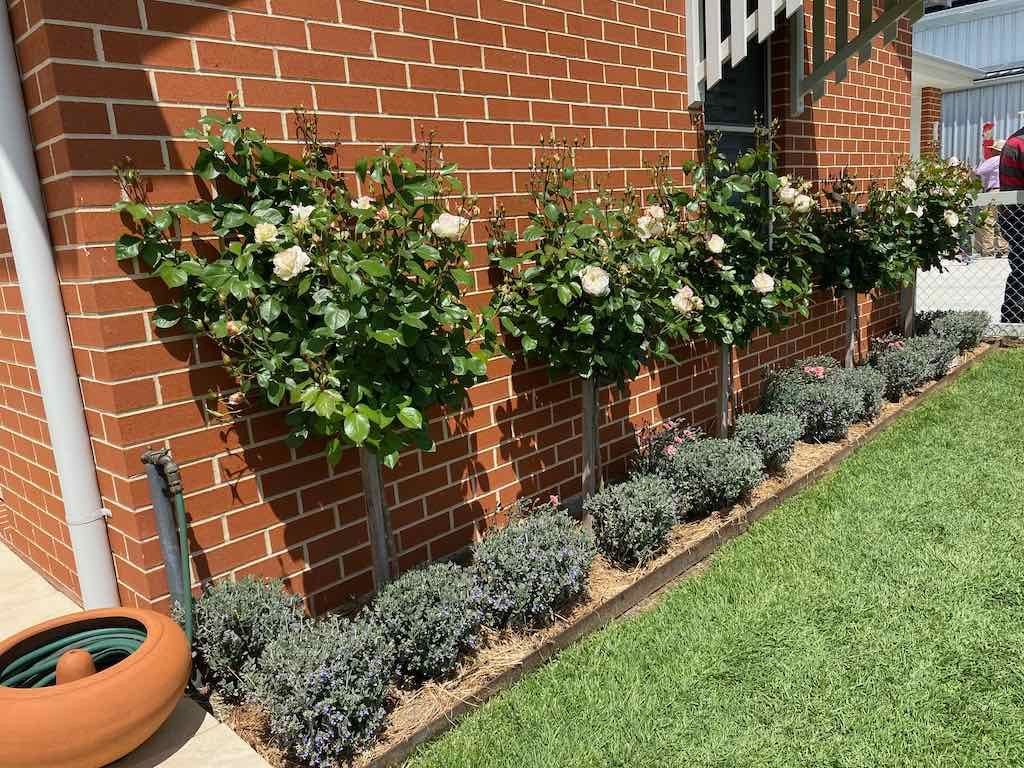 Milthorpe Garden Ramble Image -69142f27afab4