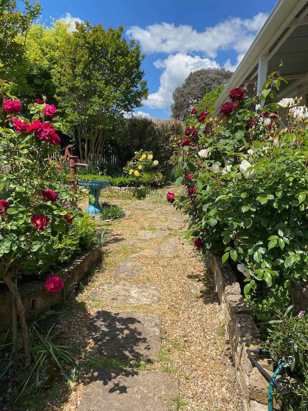 Milthorpe Garden Ramble Image -69142f299358d