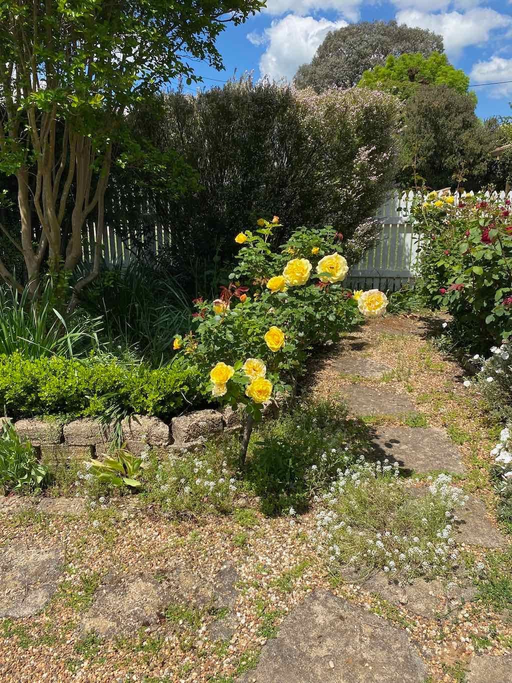 Milthorpe Garden Ramble Image -69142f29e8e30