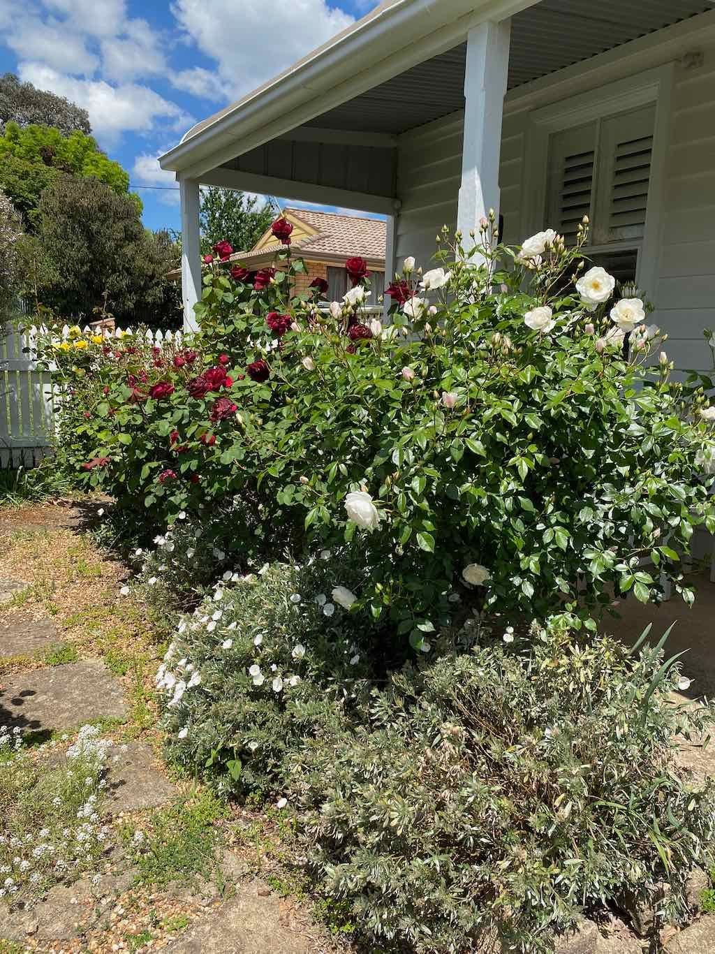 Milthorpe Garden Ramble Image -69142f2a4dede