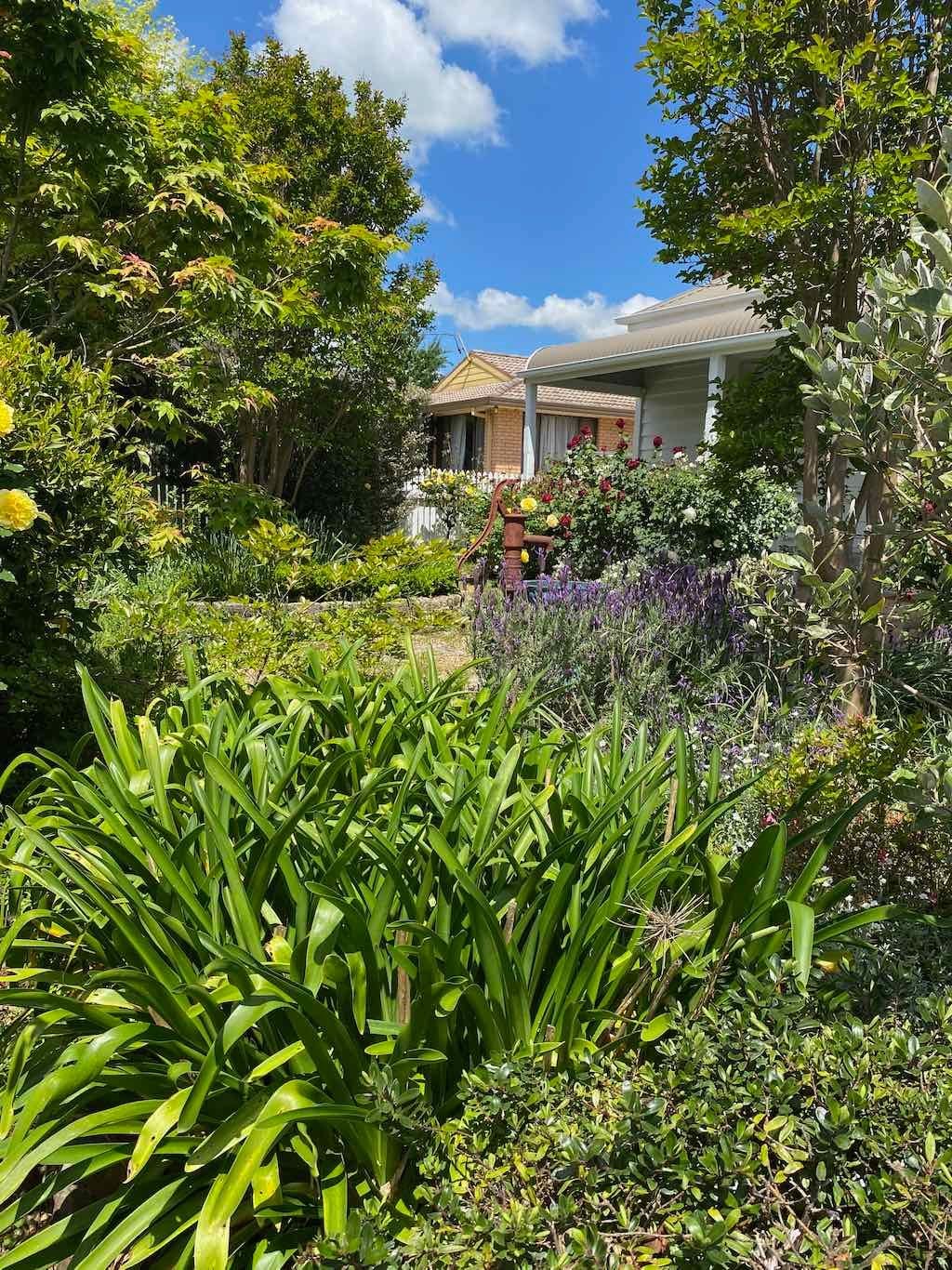 Milthorpe Garden Ramble Image -69142f2b1010d