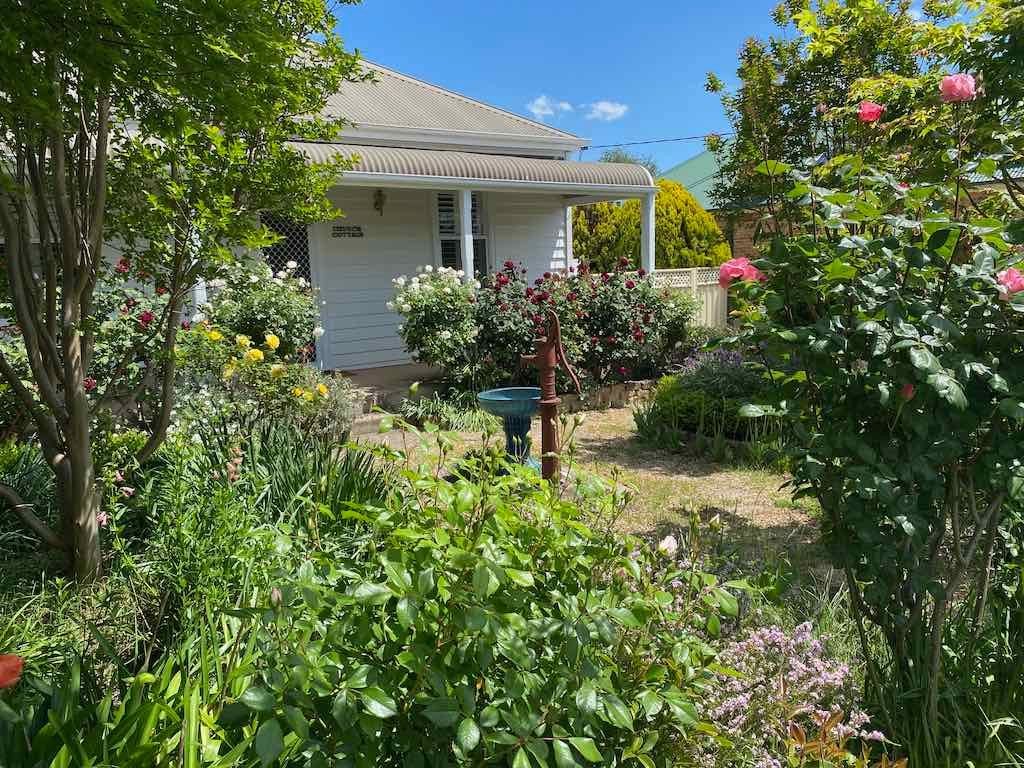 Milthorpe Garden Ramble Image -69142f2b5dfe2