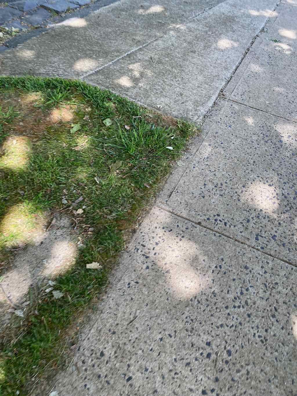 Milthorpe Garden Ramble Image -69142f2baec91