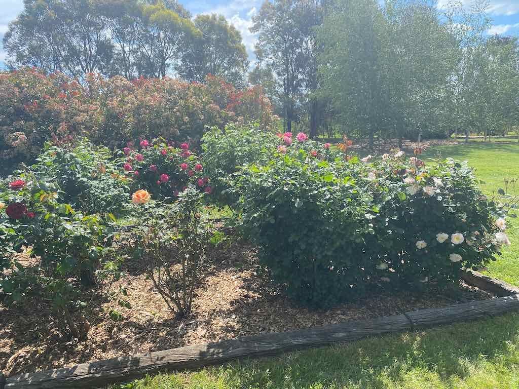 Milthorpe Garden Ramble Image -69142f2e9281d