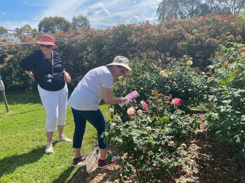 Milthorpe Garden Ramble Image -69142f2edefe6