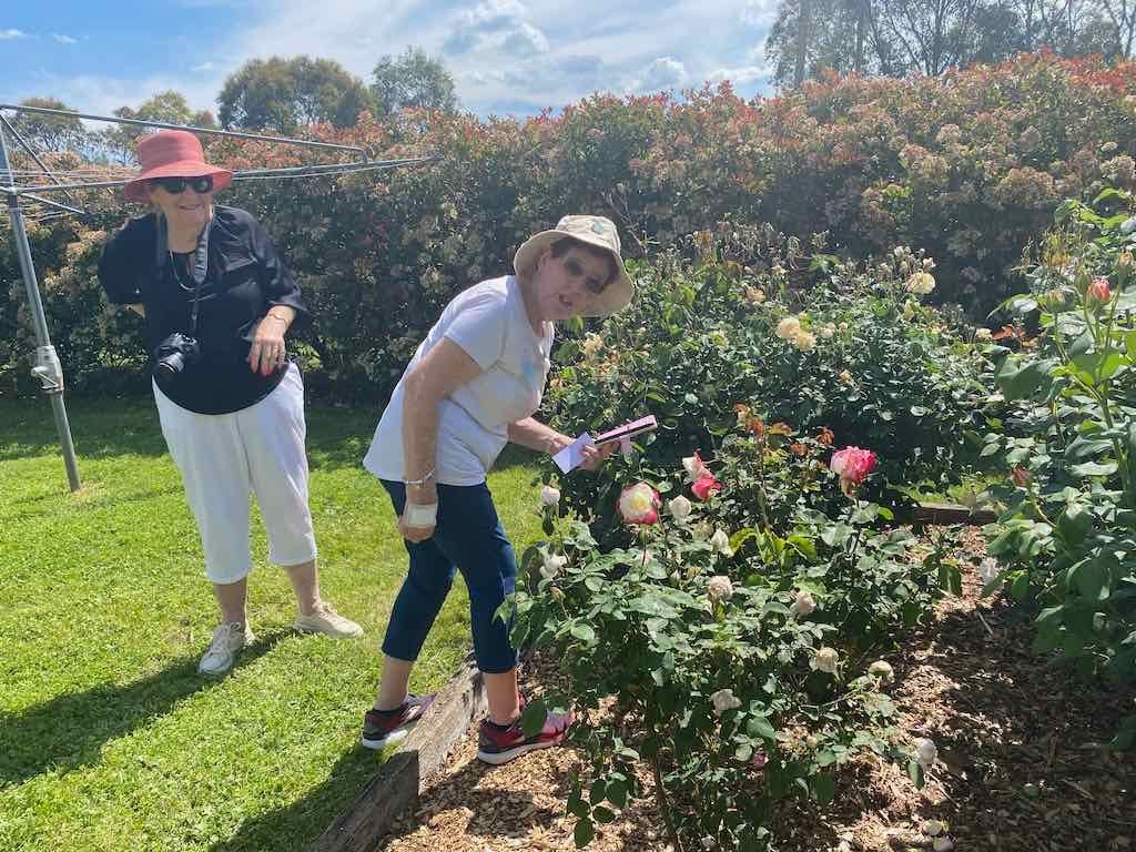 Milthorpe Garden Ramble Image -69142f2f372e4