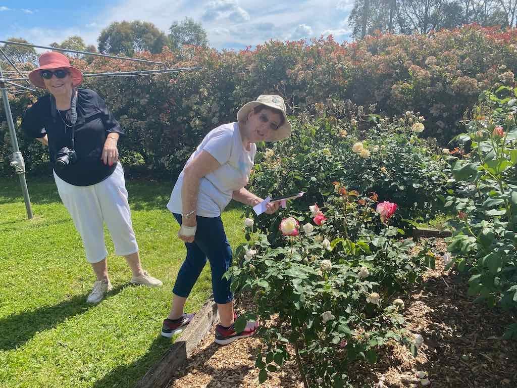 Milthorpe Garden Ramble Image -69142f2f92b7d