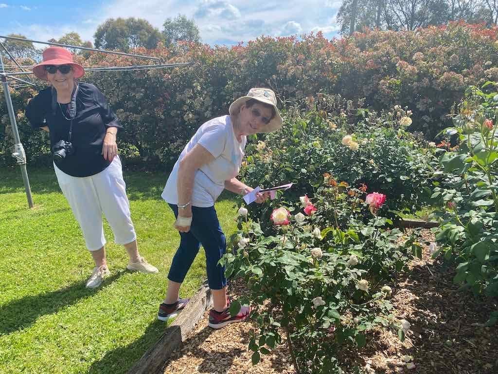 Milthorpe Garden Ramble Image -69142f2feba40