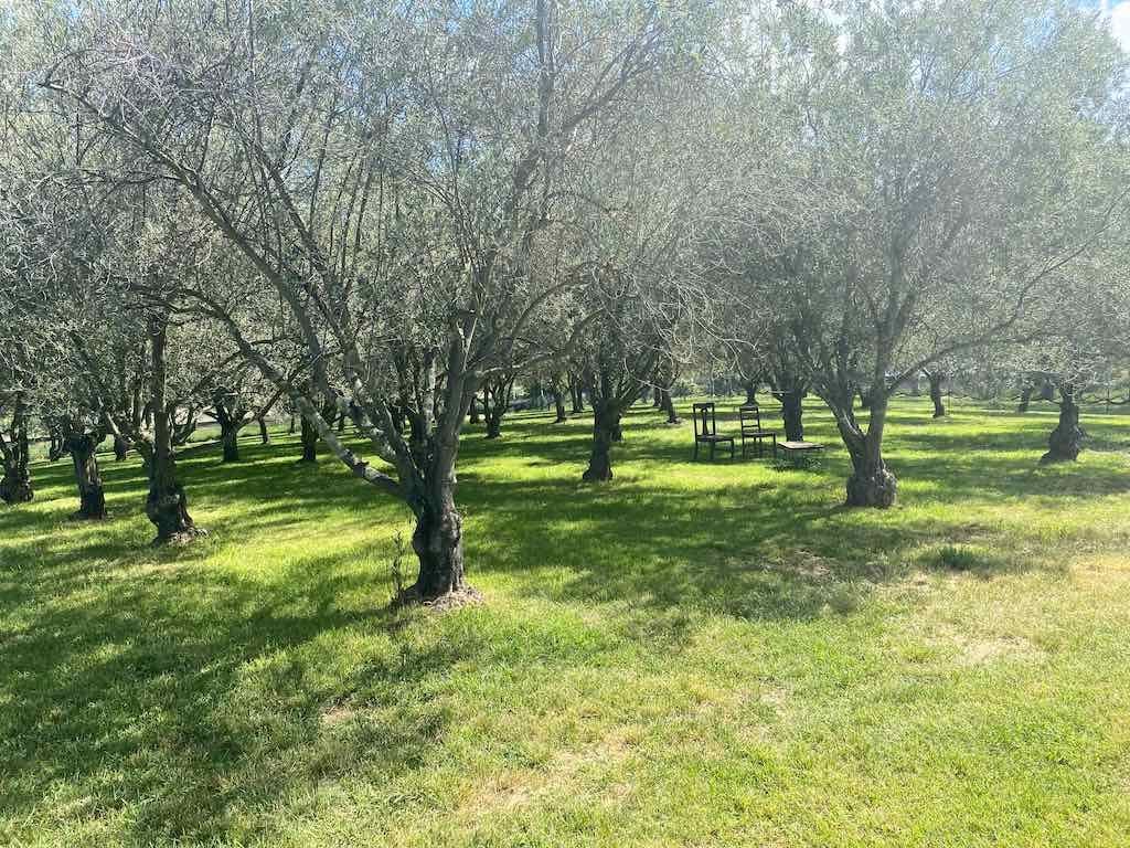 Milthorpe Garden Ramble Image -69142f3099ec4