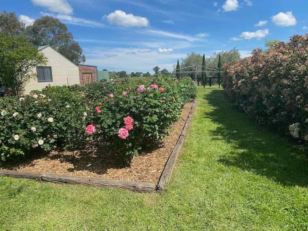 Milthorpe Garden Ramble Image -69142f328d46a