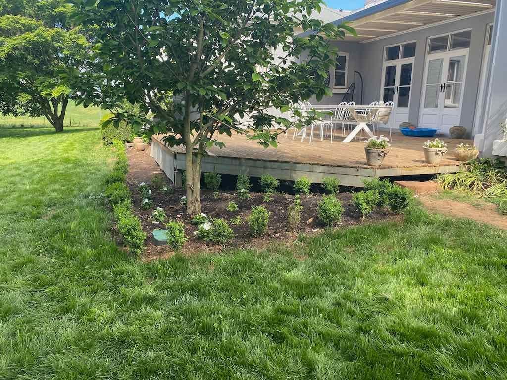 Milthorpe Garden Ramble Image -69142f36129bb