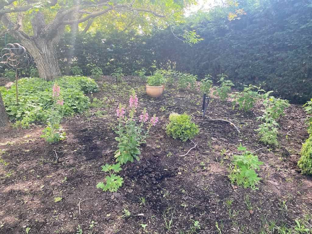 Milthorpe Garden Ramble Image -69142f36695fa