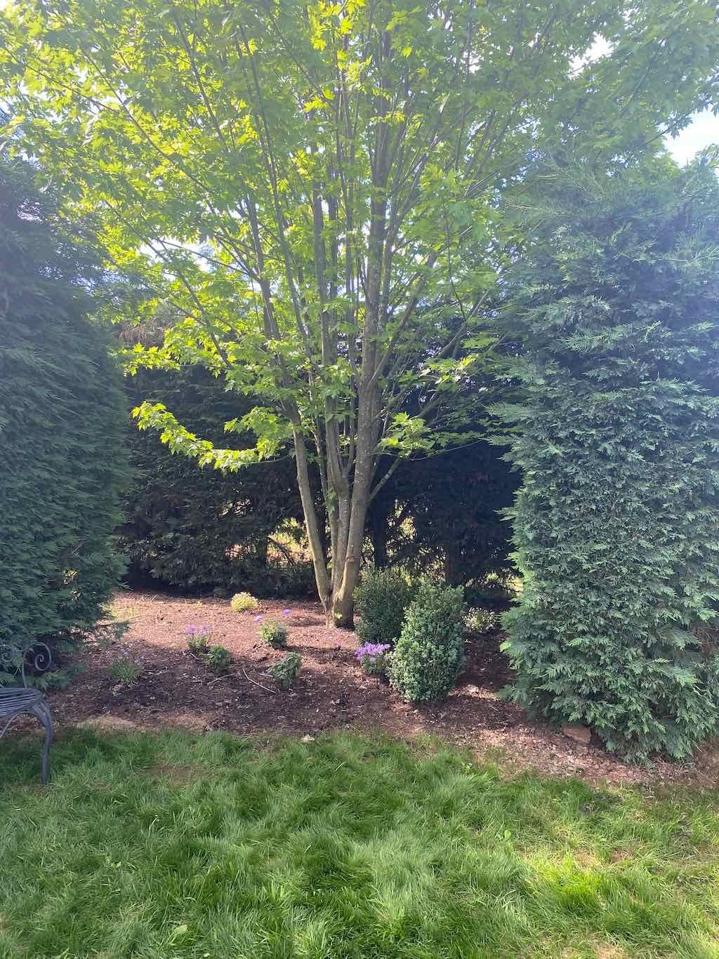 Milthorpe Garden Ramble Image -69142f36bec30