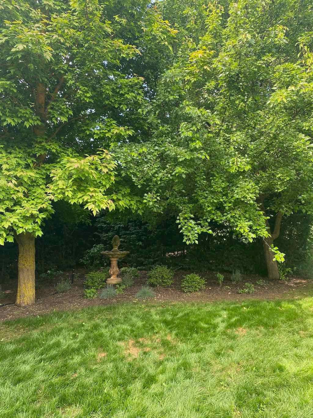 Milthorpe Garden Ramble Image -69142f377cca4