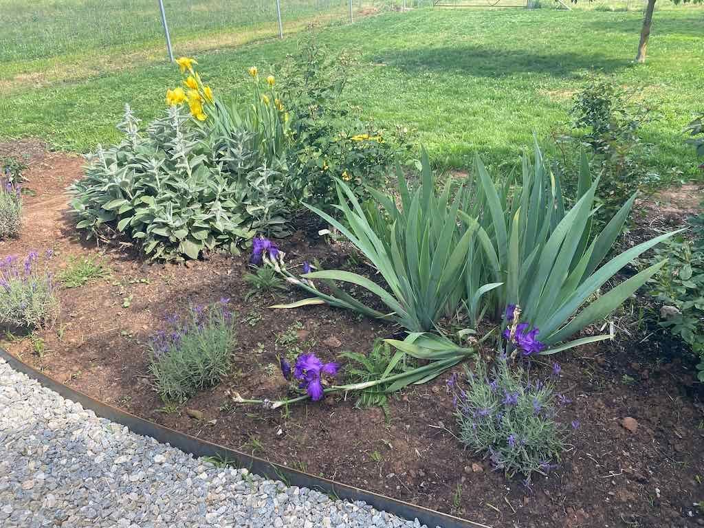 Milthorpe Garden Ramble Image -69142f39cdb00