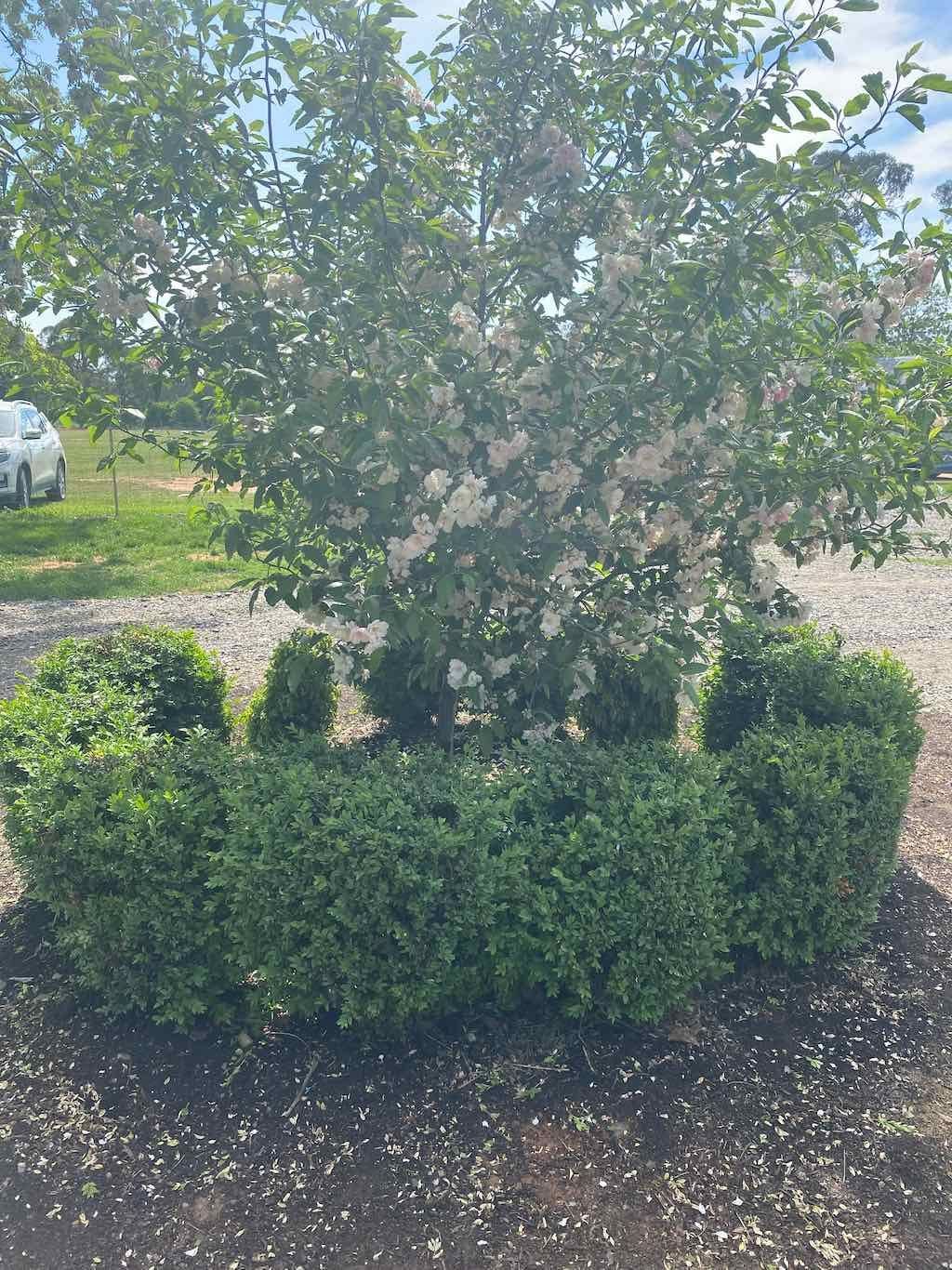 Milthorpe Garden Ramble Image -69142f3a8fbd1