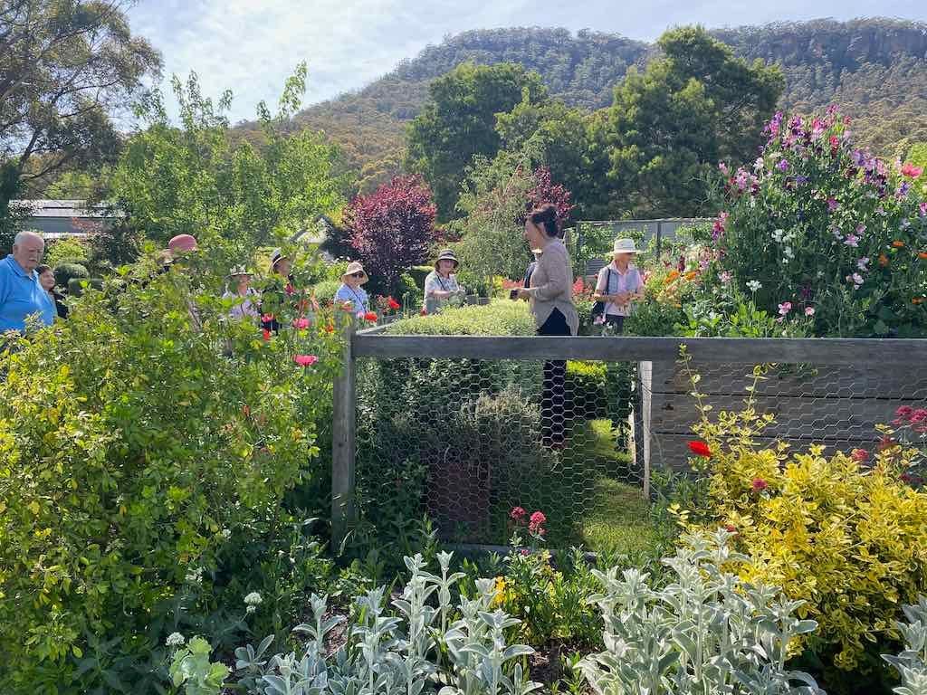 Milthorpe Garden Ramble Image -69142f3d2ca79