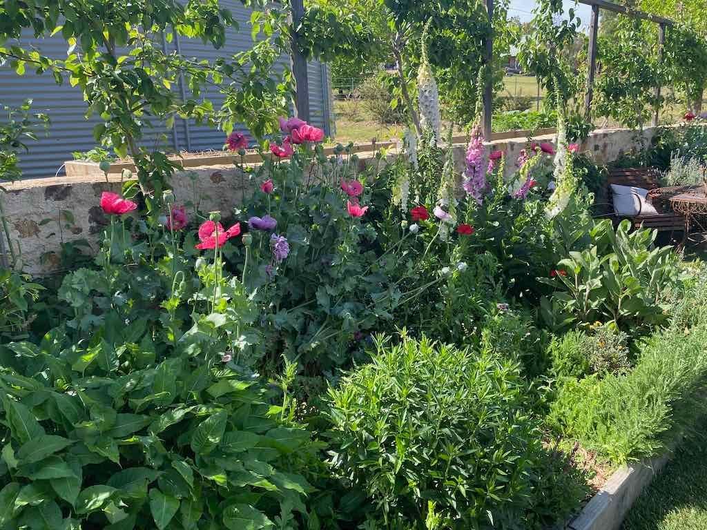 Milthorpe Garden Ramble Image -69142f3e888e2