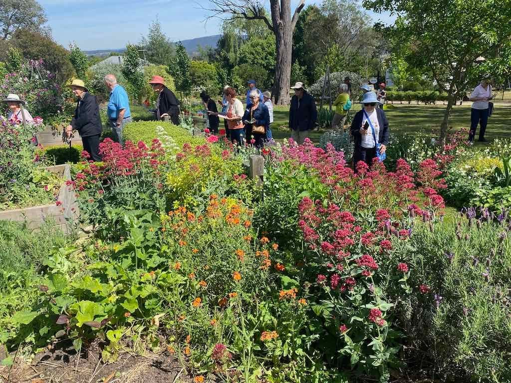 Milthorpe Garden Ramble Image -69142f3ee72b1