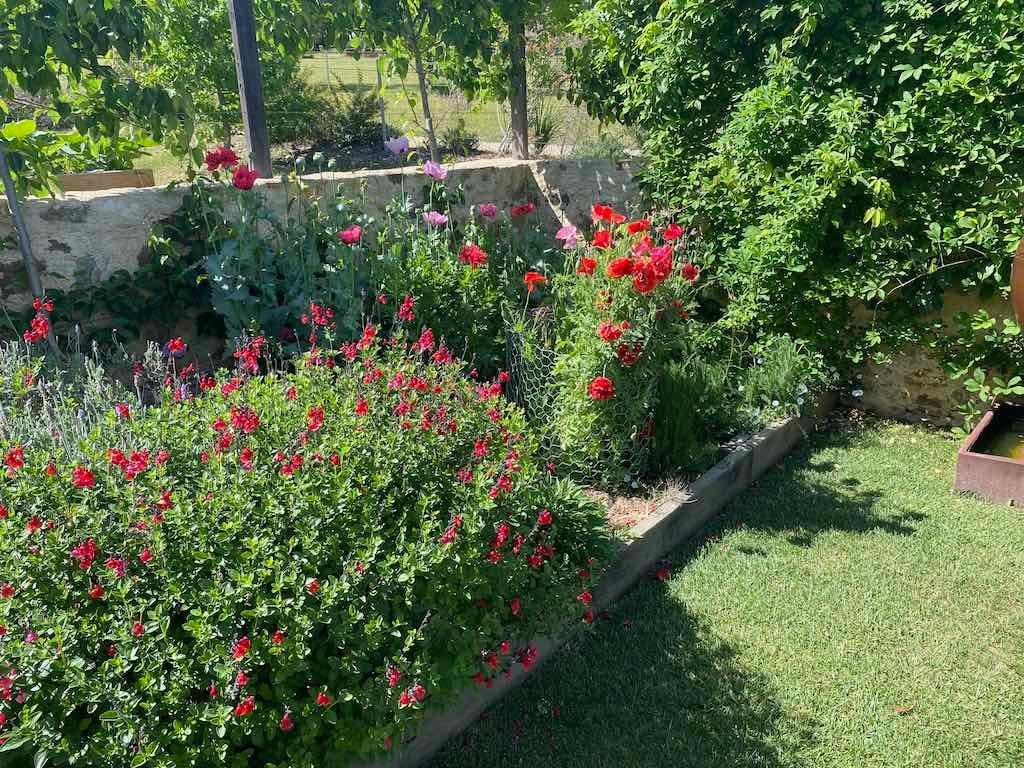 Milthorpe Garden Ramble Image -69142f3f94dd0