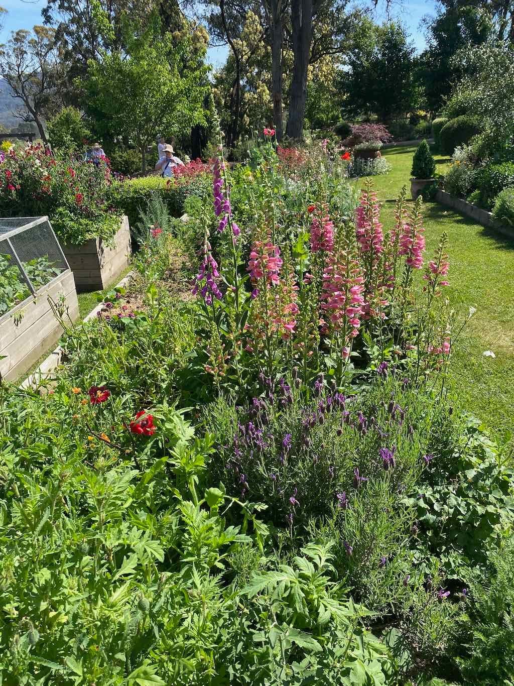 Milthorpe Garden Ramble Image -69142f40d3dfe