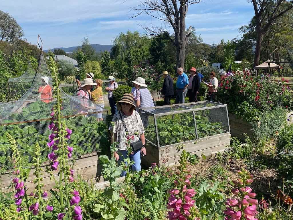 Milthorpe Garden Ramble Image -69142f4136a14