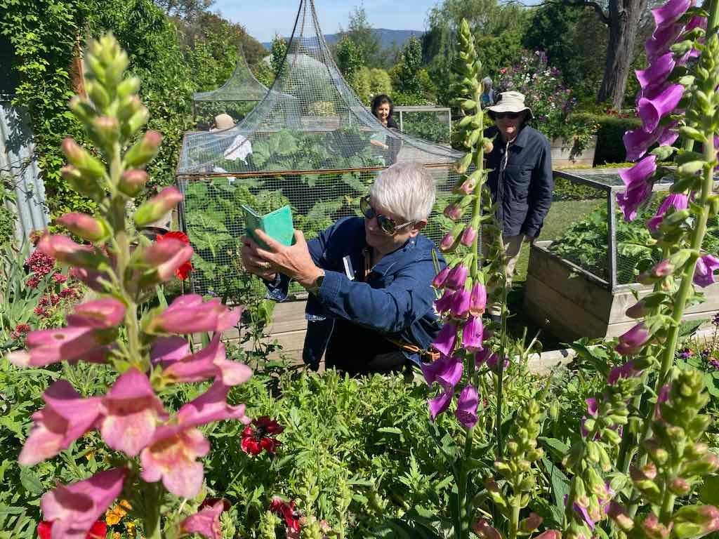 Milthorpe Garden Ramble Image -69142f41e0174