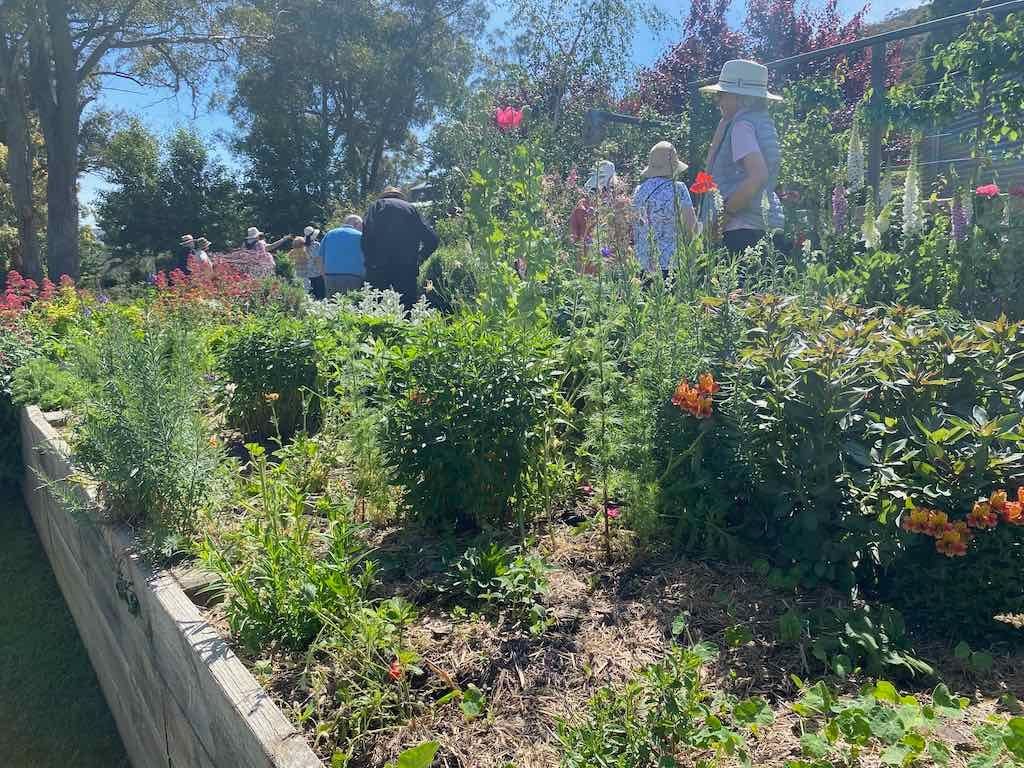 Milthorpe Garden Ramble Image -69142f42408ce