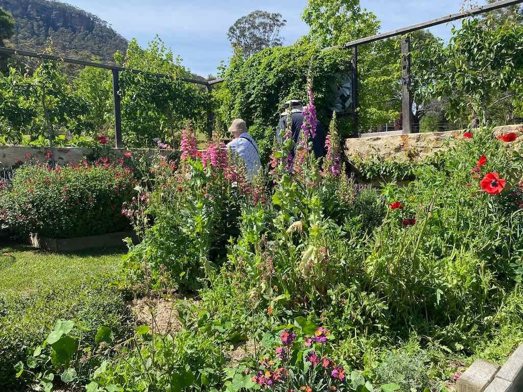 Milthorpe Garden Ramble Image -69142f42a94ab