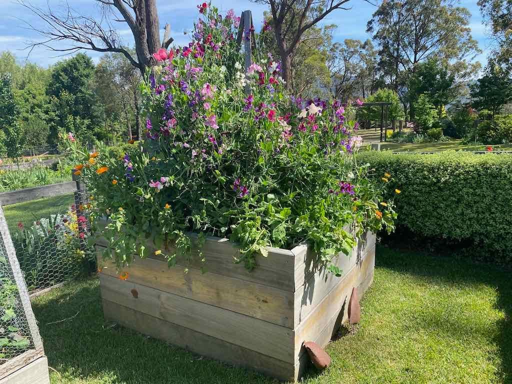 Milthorpe Garden Ramble Image -69142f436b071