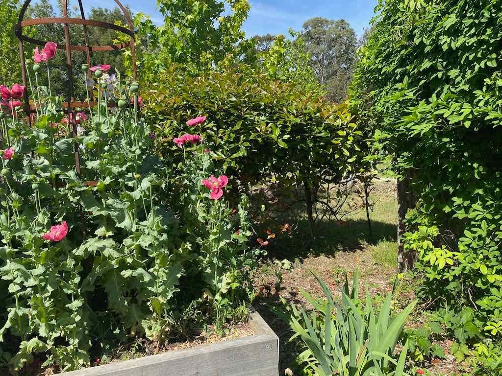 Milthorpe Garden Ramble Image -69142f46580ab