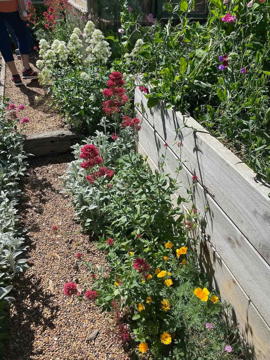 Milthorpe Garden Ramble Image -69142f497d120