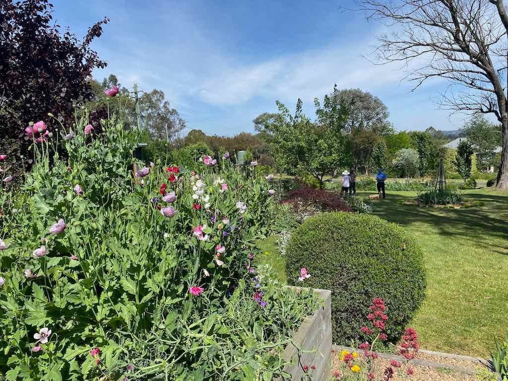 Milthorpe Garden Ramble Image -69142f4a45a6f