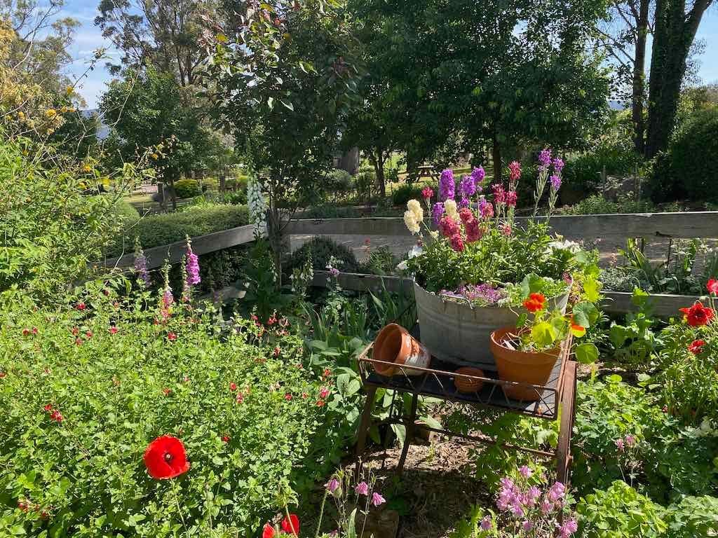 Milthorpe Garden Ramble Image -69142f4b125a8