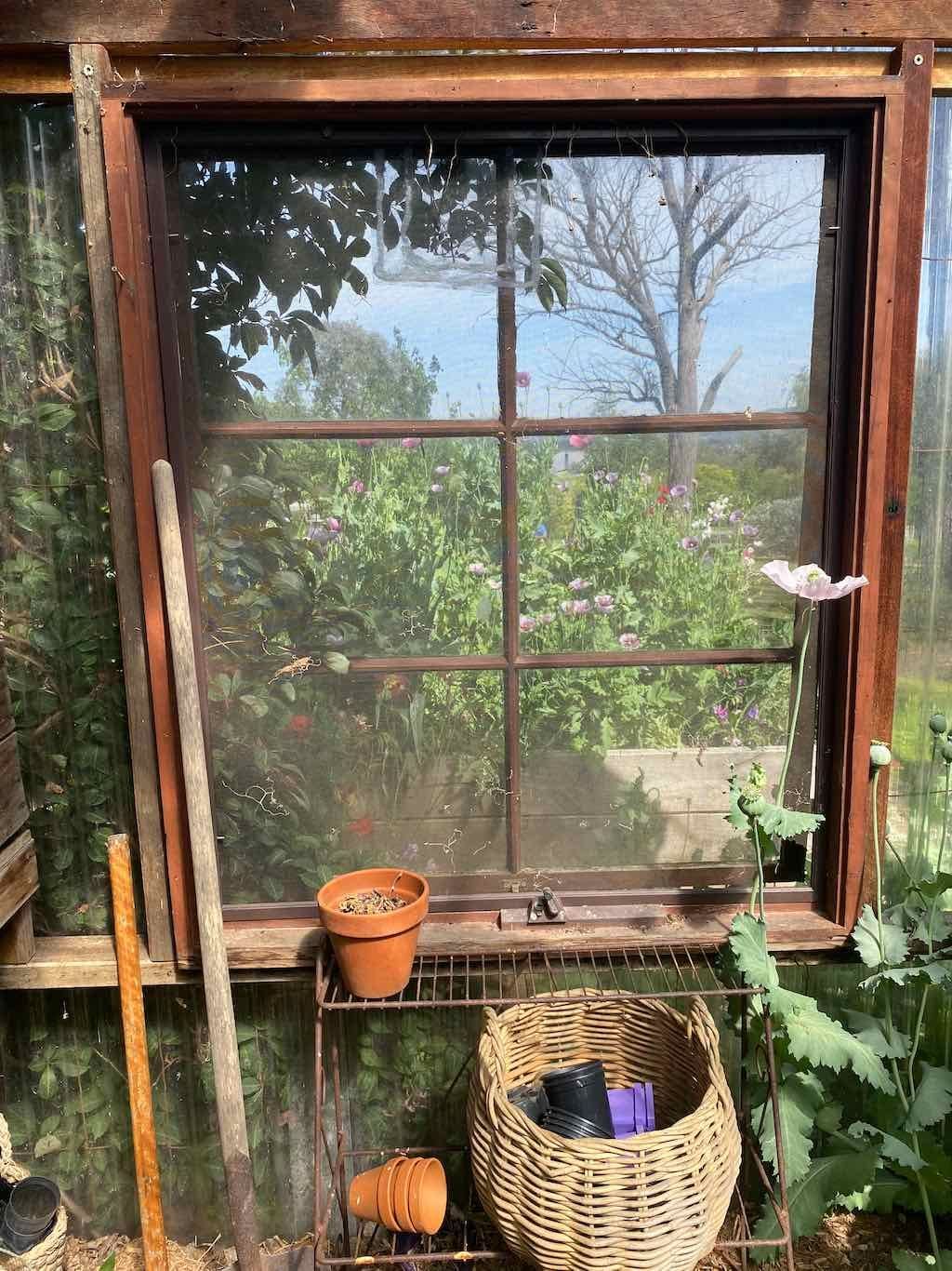 Milthorpe Garden Ramble Image -69142f4b7ed99