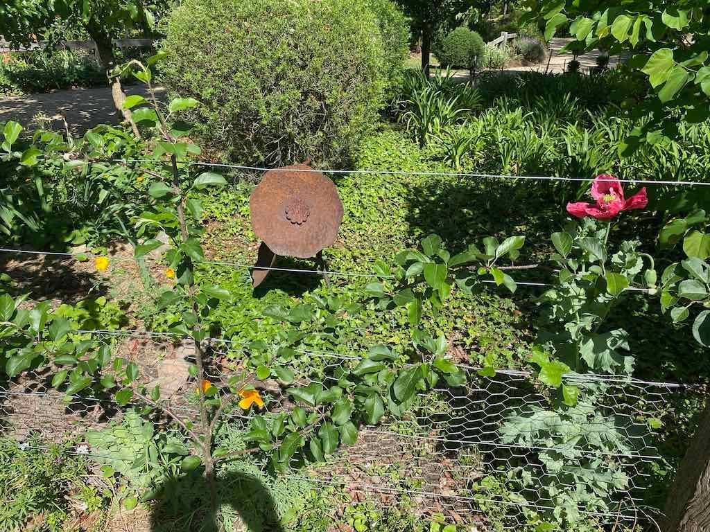 Milthorpe Garden Ramble Image -69142f4caee09