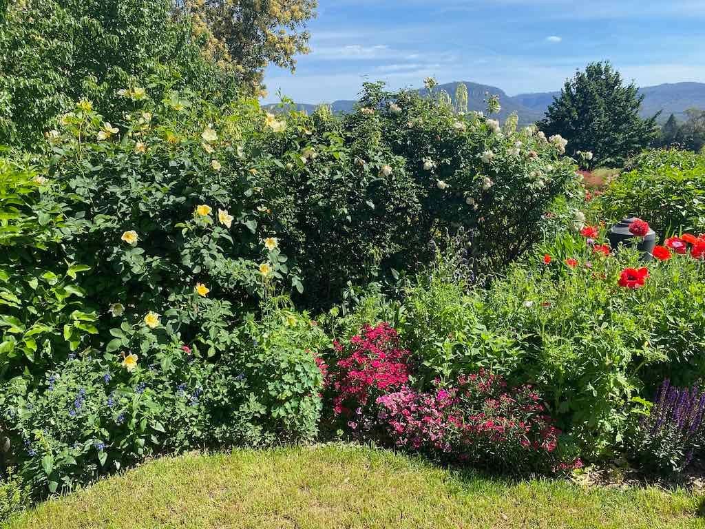 Milthorpe Garden Ramble Image -69142f4dc6ab4