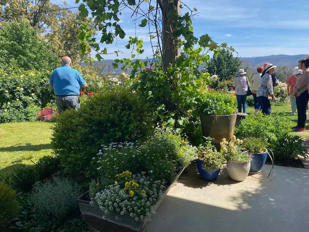 Milthorpe Garden Ramble Image -69142f4e2b8a2