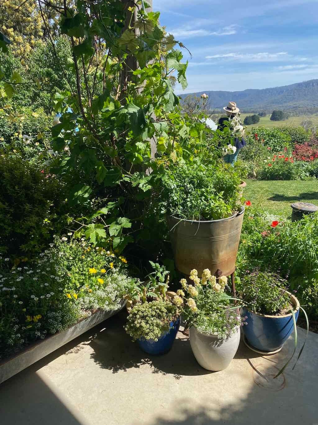 Milthorpe Garden Ramble Image -69142f4ec8b80