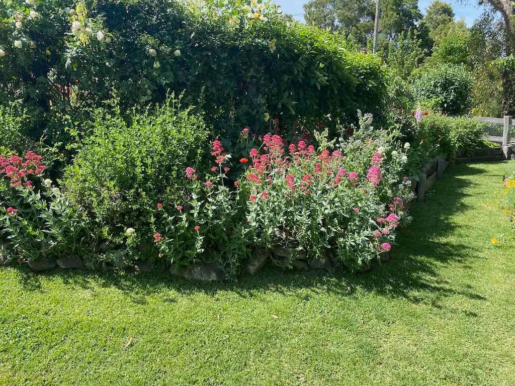 Milthorpe Garden Ramble Image -69142f5147641