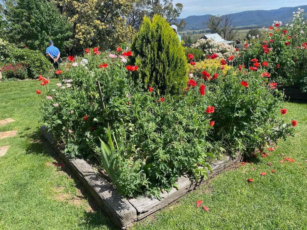 Milthorpe Garden Ramble Image -69142f57c32f7