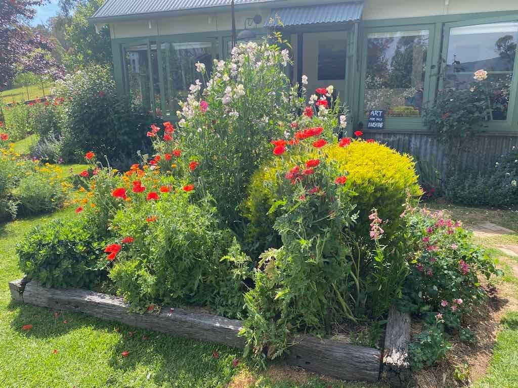 Milthorpe Garden Ramble Image -69142f5885e4d