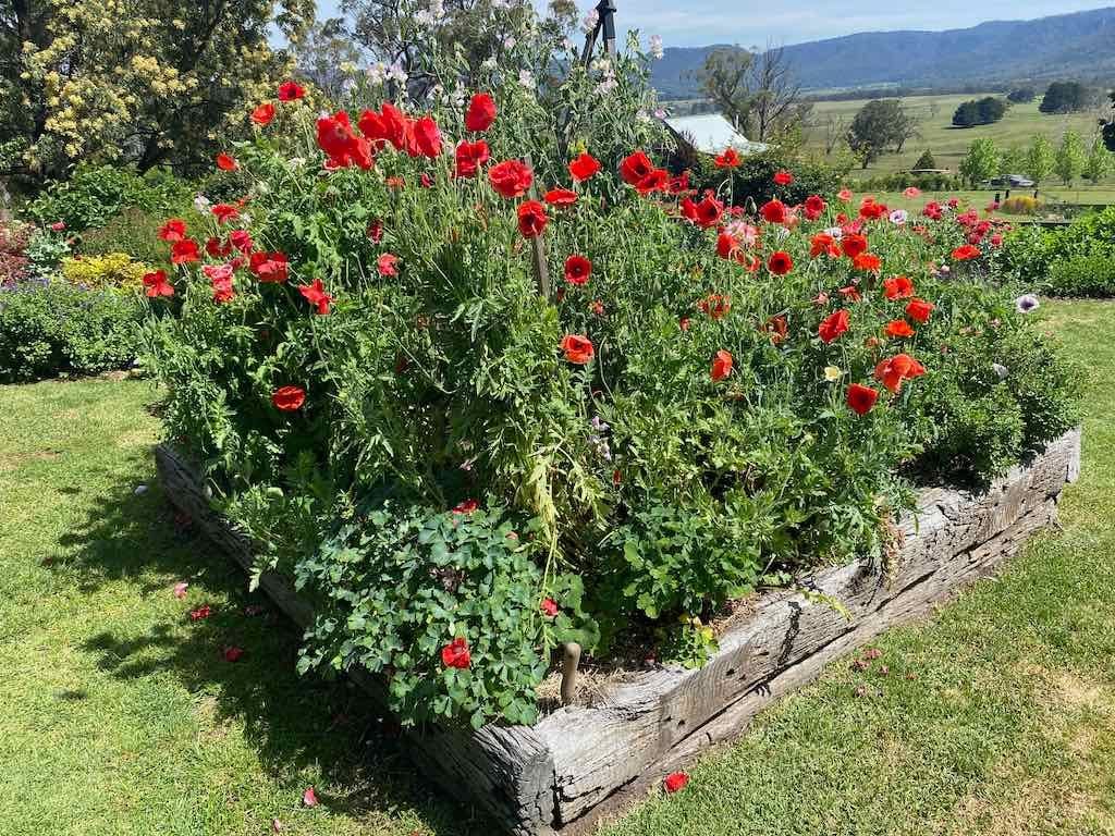 Milthorpe Garden Ramble Image -69142f5942420