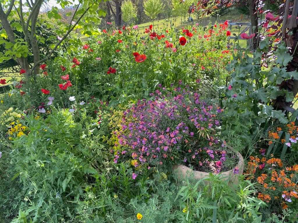 Milthorpe Garden Ramble Image -69142f5a06074