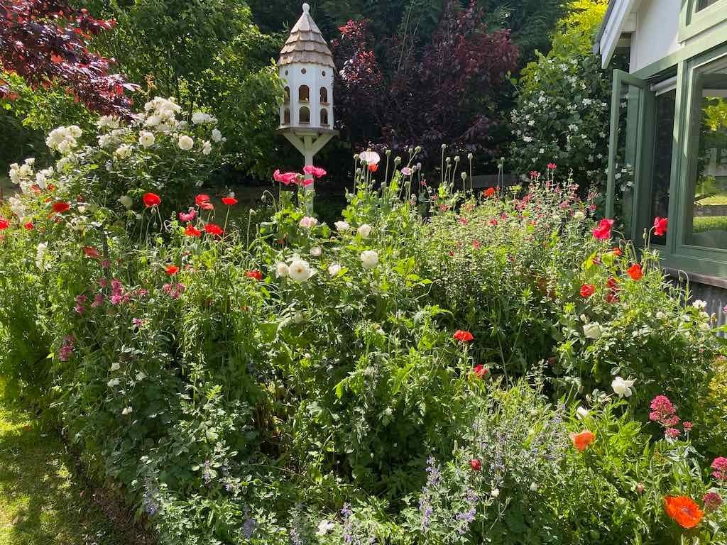 Milthorpe Garden Ramble Image -69142f5a5a25e