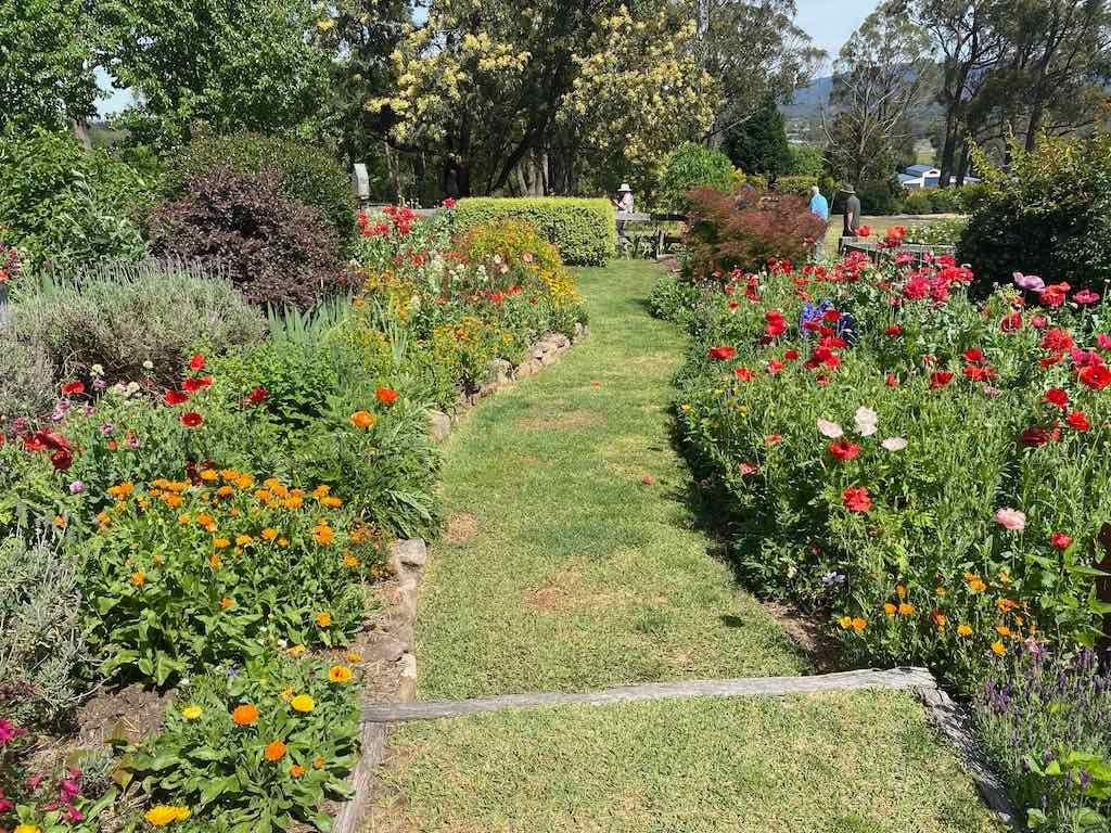 Milthorpe Garden Ramble Image -69142f5ab85d0