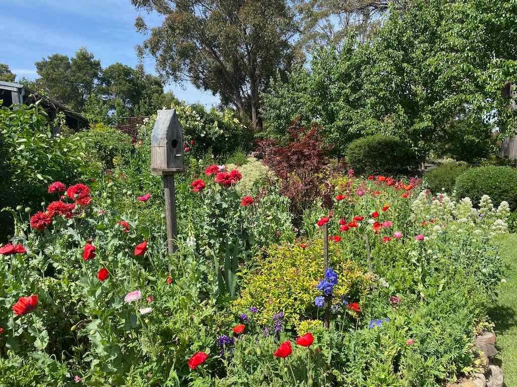 Milthorpe Garden Ramble Image -69142f5c37a73