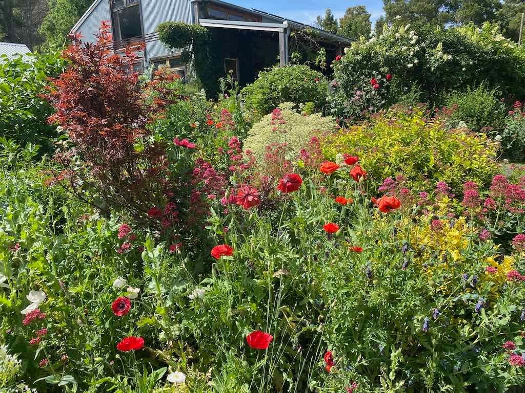 Milthorpe Garden Ramble Image -69142f5c83b1d